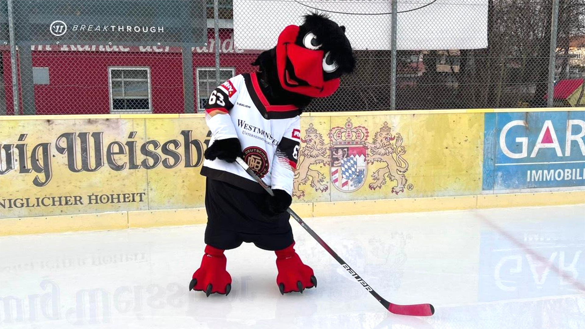 DEB-Maskotchen Horst der Adler besucht am Samstag (11.01.25) Kids on Ice beim EVF.